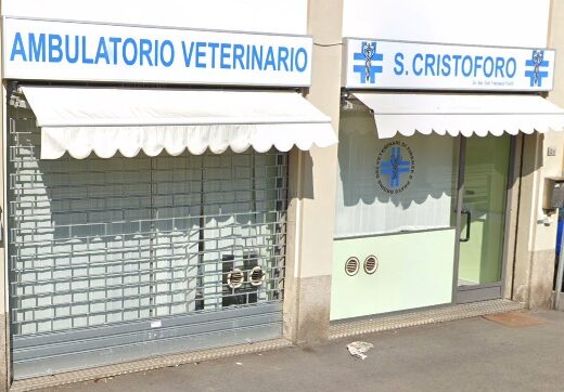veterinario Firenze Novoli Ambulatorio San Cristoforo