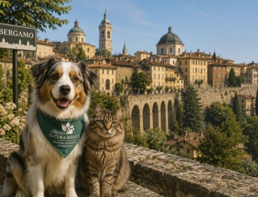 Cannabis terapeutica veterinaria a Bergamo per cani e gatti